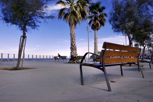 panchina, palme, alberi, lungomare, mare, cielo, passeggiata, palma