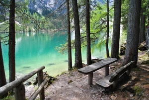 panchina, lago, alberi, tavolo, acqua, panca, verde, legno, bosco