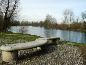 fiume, panchina, alberi, acqua, cielo, sassi, rami, riva, curve, lago