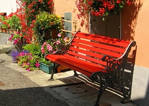 panchina, fiori, vasi, rosso, piante, ombra, rossa, gerani, ferro