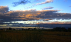 nuvole, cielo, tramonto, paesaggio, campagna, panorama, pianura, alberi