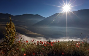 sole, montagne, fiori, panorama, controluce, nebbia, montagna, papaveri, nuvole, raggi, cielo, piante