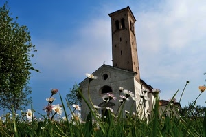 chiesa, campanile, prato, fiori, margherite, albero, cielo