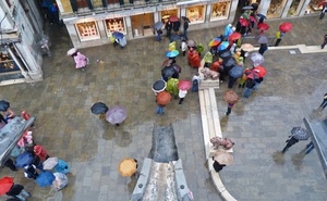 ombrelli, pioggia, persone, piazza, colori, vetrine, passanti