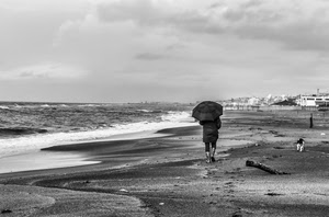 mare, ombrello, spiaggia, bianconero, persona, cane, pioggia