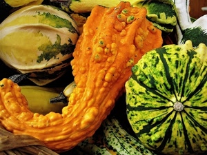 verde, zucche, arancione, ortaggi, giallo, zucca, arancio, autunno, curve, verdure, bitorzoli