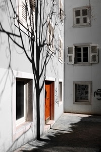 albero, ombra, finestre, porta, bianco, portone, cortile