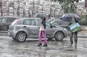 pioggia, ombrelli, borse, donne, strada, auto, ruote, maltempo, due, passanti, ombrello, automobili, automobile, viola, albero, selettivo, rosa, colore