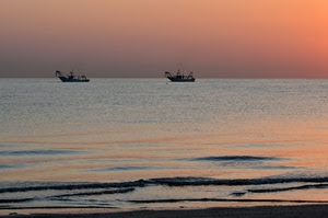 mare, onde, barche, pescherecci, cielo, alba, tramonto, acqua, due, orizzonte, rosso, colori, rosato, spiaggia, rosa