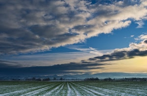 nuvole, cielo, neve, panorama, campo, campagna, prato, alberi