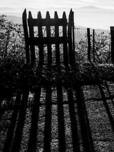 cancello, bianconero, rete, ombre, controluce, ombra, piante, legno, nero, foschia, recinto, recinzione, montagne