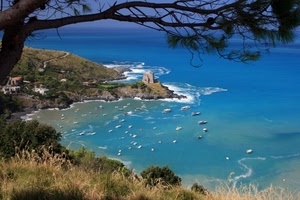 mare, barche, albero, torre, costa, paesaggio, acqua, ramo, panorama, azzurro, pino