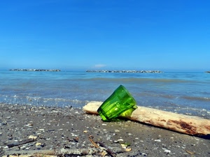 bicchiere, mare, verde, spiaggia, legno, tronco, sabbia, acqua