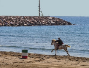 mare, spiaggia, cavallo, sabbia, bidone, tricolore, scogli, rosso, verde, bianco, molo, massi, cavalcare, cavaliere, uomo, bandiera, azzurro, sassi