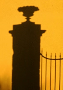 cancello, giallo, ombra, vaso, pilastro, colonna, nero, ombre, muro, inferriata