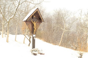 neve, alberi, crocifisso, inverno, croce, legno, bianco, cristo, vasi, edicola, rami, fiori, spogli, montagna