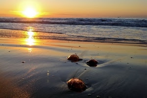 mare, tramonto, sole, spiaggia, onde, acqua, sabbia, controluce