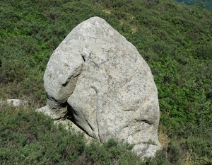 verde, masso, roccia, pietra, erba, sasso, grigio, piante, prato, forma