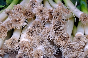 radici, verde, bianco, porri, verdura, ortaggi, cipolle, cipollotti, ortaggio, mazzo, bulbi, cibo