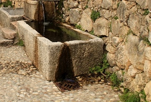 acqua, fontana, muro, pietra, erba, vasca, verde, pietre, zampillo, abbeveratoio, lavatoio, tombino, sassi, gradini, scalino, fontanile
