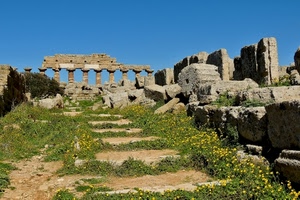 colonne, erba, fiori, ruderi, verde, pietre, archeologia, rovine, giallo, scalinata, antico, scala, tempio, massi, azzurro, cielo