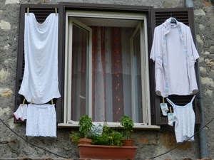 piante, finestra, vasi, tenda, bianco, panni, camicia, vaso, verde, persiane, vetri, bucato, tende, muro, biancheria, mollette, canottiera, appesi, stesi, accappatoio