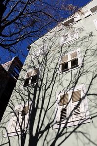 ombra, albero, finestre, casa, palazzo, persiane, rami, facciata