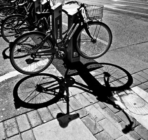 biciclette, bianconero, ruote, ombra, strada, cestino, ombre, parcheggio, manubrio, bici, sellino, raggi