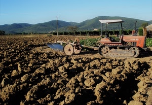 trattore, terra, campo, zolle, cingoli, aratro, colline, ruote, cielo, campagna, agricoltura, rosso, azzurro, monti