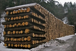 neve, alberi, tronchi, catasta, legna, inverno, strada, bosco, legno, bianco