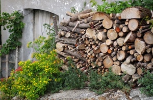 catasta, legna, fiori, porta, tronchi, legno, piante, erba, giallo, legname, rampicante, casa, rosso, mucchio, verde, staccionata, foglie, rete, vite