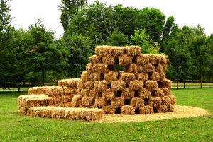 alberi, paglia, verde, erba, prato, fieno, balle, giallo, mucchio, campagna, composizione