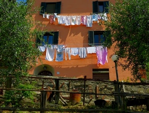 finestre, panni, alberi, staccionata, verde, bucato, lampione, persiane, lampioni, bidoni, steso, muro, bianco, foglie, vetri, arancione, rami