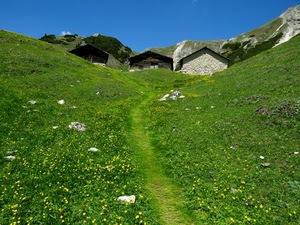 fiori, montagna, verde, case, erba, cielo, sentiero, prato, azzurro, giallo, baite, pietre, sassi