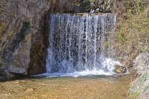 acqua, cascata, roccia, schiuma, rocce, fiume, piante, bianco, cascate, montagna, sassi, spruzzi, arbusti, torrente, cespuglio, natura, ruscello, rami