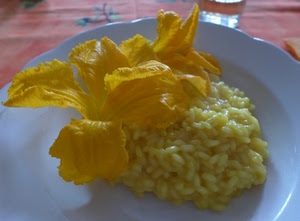 riso, giallo, risotto, piatto, fiore, fiori, cibo, zucca