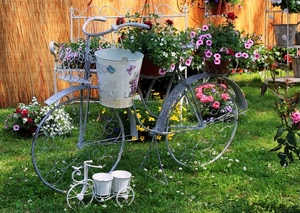 fiori, bicicletta, prato, secchio, verde, vasi, ruote, erba, biciclette, piante, manubrio, giardino, rosa, secchi, bianco