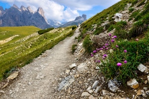 fiori, nuvole, sentiero, verde, cielo, montagna, sassi, erba, pietre, montagne, prati, rocce, viola, persone, prato, bianco, prospettiva, azzurro