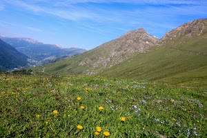 fiori, montagne, cielo, verde, erba, montagna, prato, panorama, paesaggio, prati, giallo, alberi, cime, strada, azzurro, nuvole, gialli, sentiero