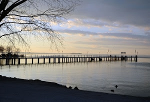 cielo, rami, acqua, nuvole, albero, pontile, lago, mare, tramonto, molo, riva, pali, alberi, anatre, fiume