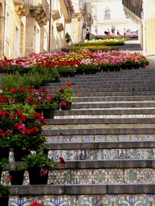 fiori, gradini, vasi, scala, scalinata, piante, salita, scalini, gerani, colori, rosso, persone, balconi, piastrelle