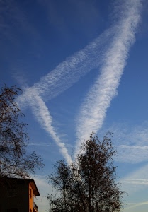 casa, alberi, scie, cielo, azzurro, nuvole, bianco, triangolo, verde, finestre, rami