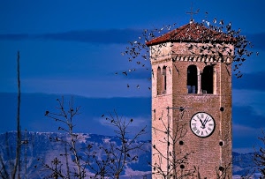 orologio, uccelli, rami, campanile, bifore, cielo, alberi, tetto, lancette, croce, torre, archi, azzurro, piccioni, numeri, volatili, ore, finestre, mattoni