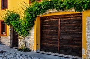 portone, rampicante, finestre, giallo, legno, pianta, verde, porta, casa, foglie, muro, strada, porte, marrone, grata, sassi, rami