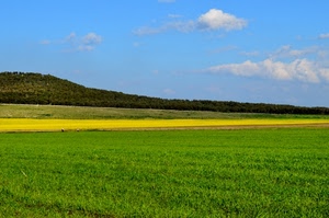 verde, nuvole, giallo, cielo, collina, erba, campagna, colori, azzurro, alberi, prato, fiori, strati, bianco, campi, campo, panorama, paesaggio