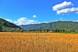 nuvole, cielo, grano, giallo, azzurro, verde, campo, montagne, alberi, case, bianco, spighe, paesaggio, chiesa, colline, campi, oro, montagna