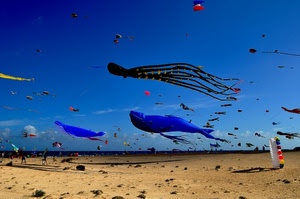 aquiloni, cielo, spiaggia, azzurro, sabbia, mare, vento, nero, rosso, bianco, nuvole, giallo, blu, persone