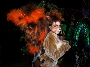 carnevale, maschera, piume, rosso, costume, notte, colori, leone, animale, costumi