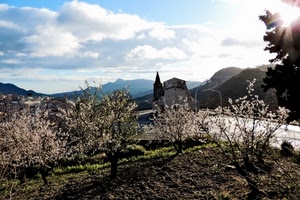 primavera, fiori, alberi, controluce, chiesa, nuvole, campanile